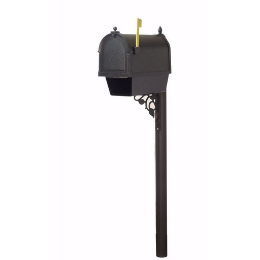 Special Lite Products || Berkshire Curbside Mailbox with Newspaper Tube and Albion Mailbox Post