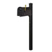 Special Lite Products || Classic Curbside Mailbox and Wellington Direct Burial Mailbox Post Smooth, Black