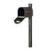 Special Lite Products || Classic Curbside Mailbox and Wellington Direct Burial Mailbox Post Smooth, Swedish Silver