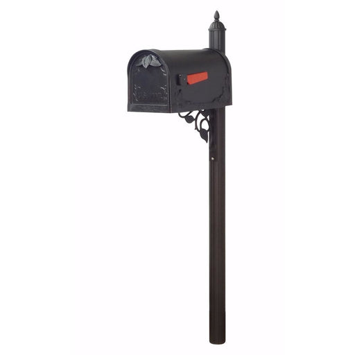 Special Lite Products || Floral Curbside Mailbox with Albion Mailbox Post