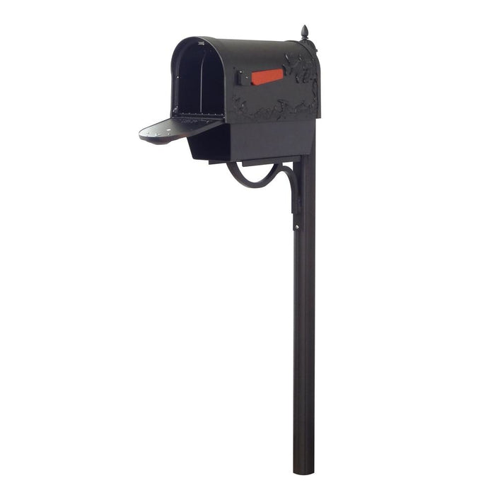 Special Lite Products || Hummingbird Curbside Mailbox with Paper Tube and Richland Mailbox Post